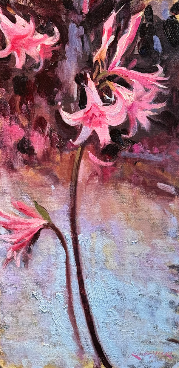 Naked Lady's in the Backyard by keith wicks