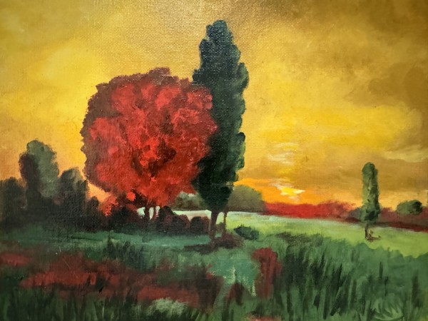 The Sunset by Julie Kay Midyett