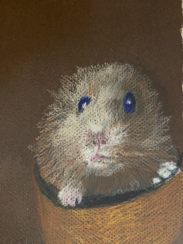 Mr. Jingles by Julie Kay Midyett