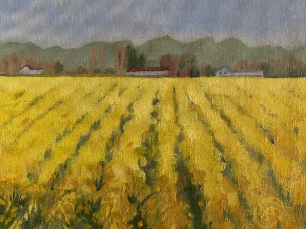 Field of Yellow Flowers by Julie Kay Midyett