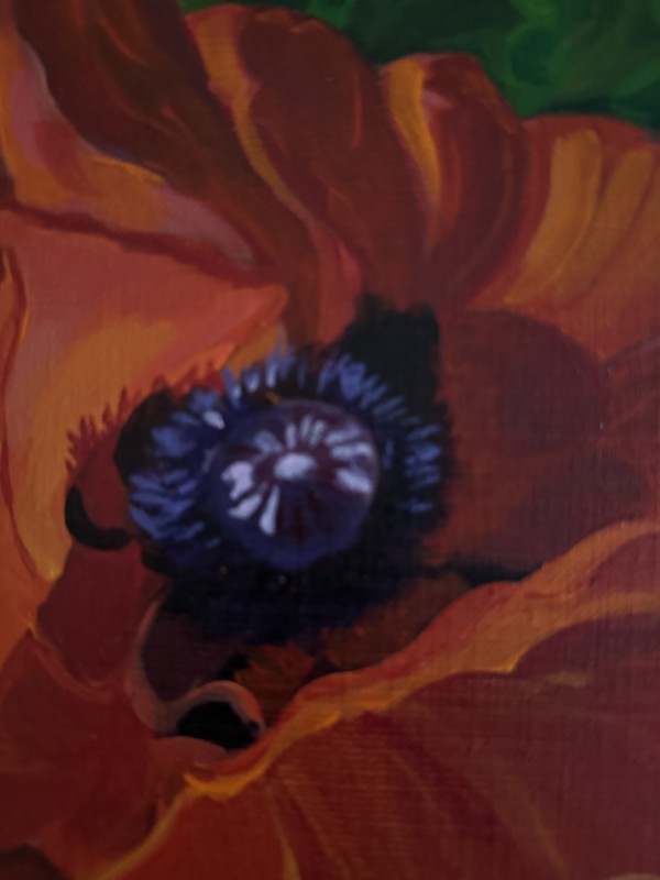 Poppy by Julie Kay Midyett