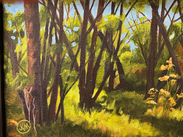 Afternoon Glow by Julie Kay Midyett