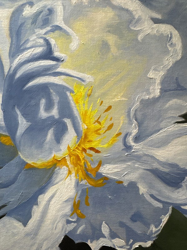 White Peony by Julie Kay Midyett, Image 1.