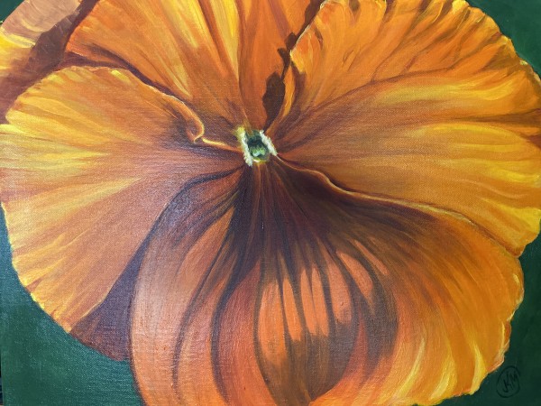 Orange Pansy by Julie Kay Midyett