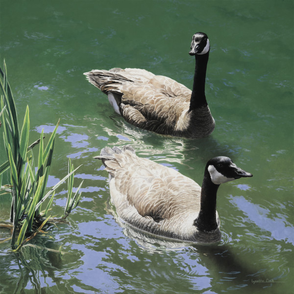 Matching Set by Lynette Cook