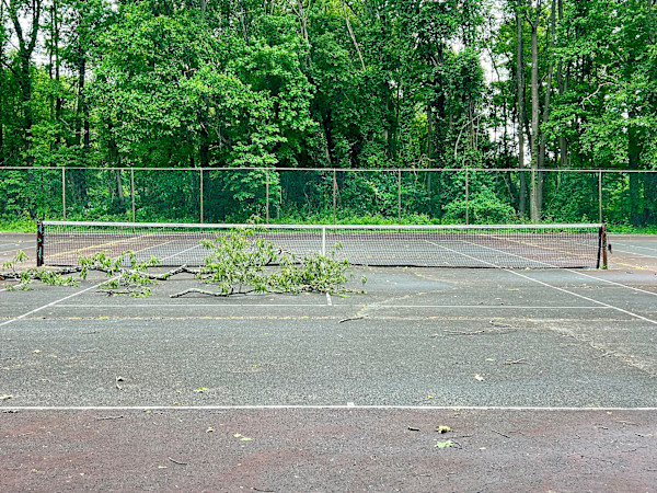 Tennis/Tree Limb by Brad Terhune, Image 1.