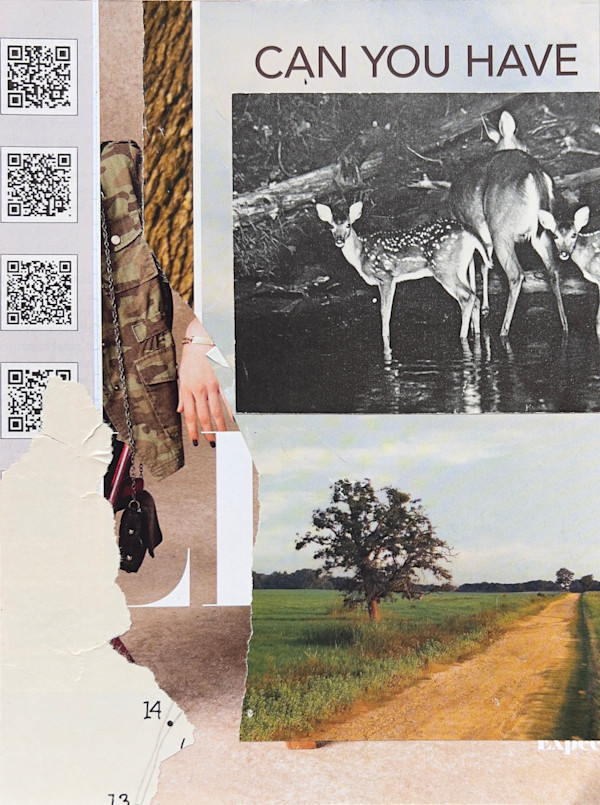 CAN YOU HAVE by Brad Terhune