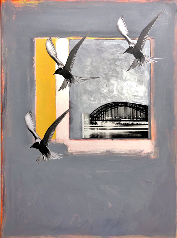 Cages Wrecking Rivers by Brad Terhune