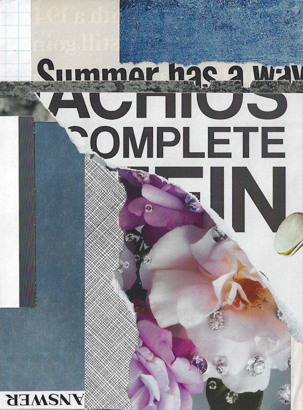 Summer has a way by Brad Terhune, Image 1.