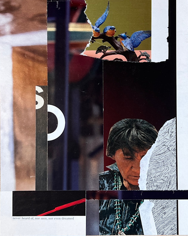 never heard of, nor seen, nor even dreamed by Brad Terhune