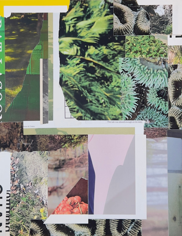 This tale was absurd enough on its own. by Brad Terhune