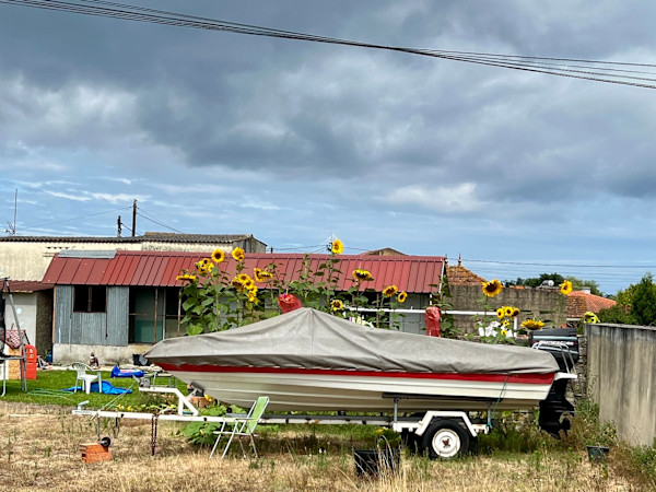Boat/Flowers, Veiros by Brad Terhune, Image 1.