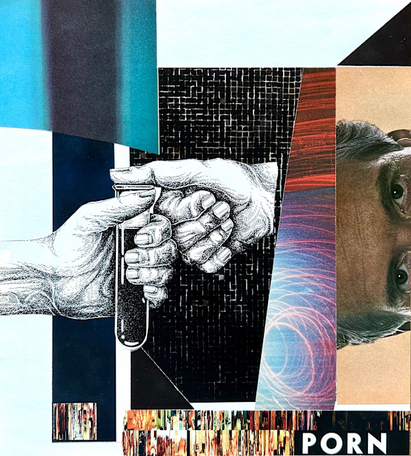 PORN by Brad Terhune