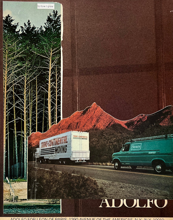 to how I grew by Brad Terhune