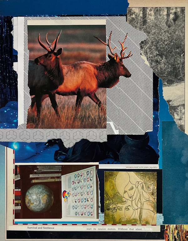 Survival and Sentience by Brad Terhune