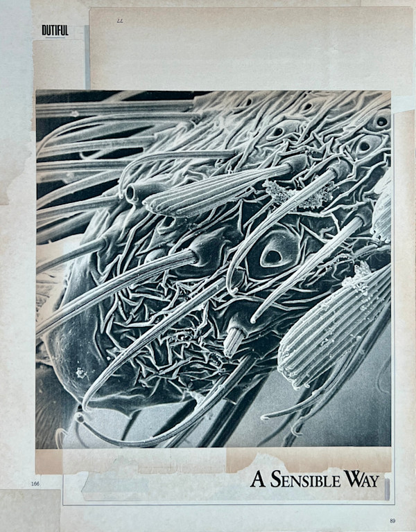 A Sensible Way by Brad Terhune