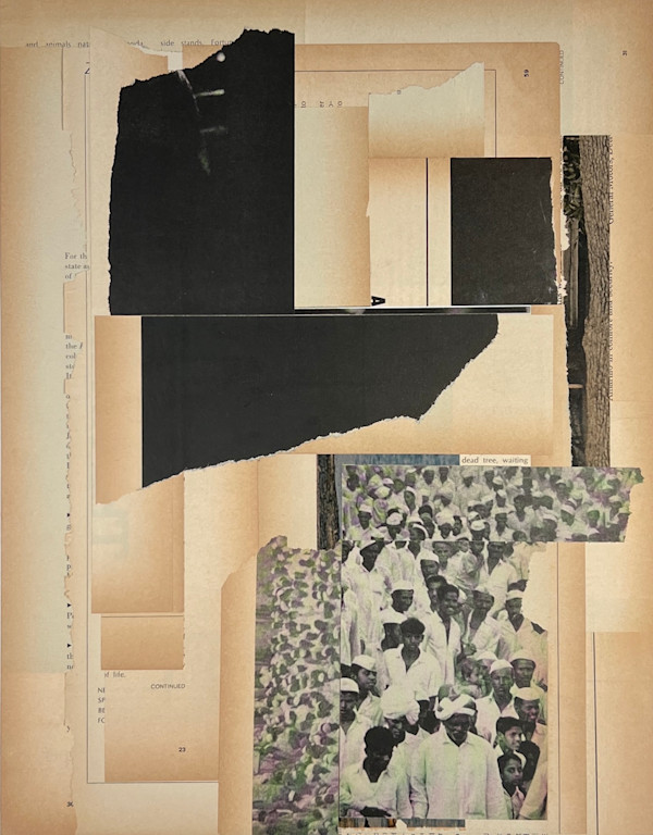 dead tree, waiting by Brad Terhune