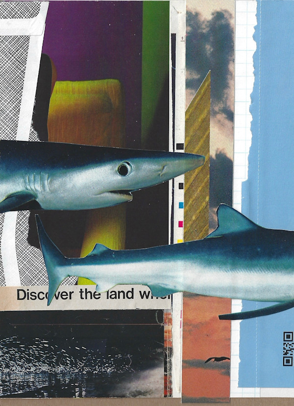 Discover the land by Brad Terhune, Image 1.