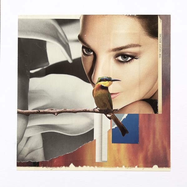 THE NIGHT BEFORE by Brad Terhune