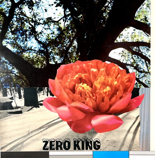 Zero King by Brad Terhune