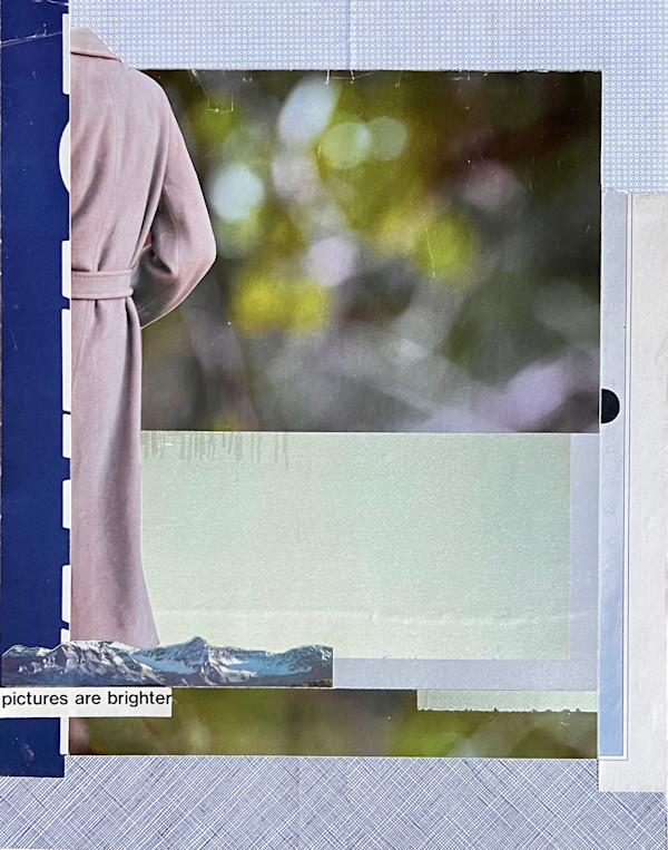 pictures are brighter by Brad Terhune