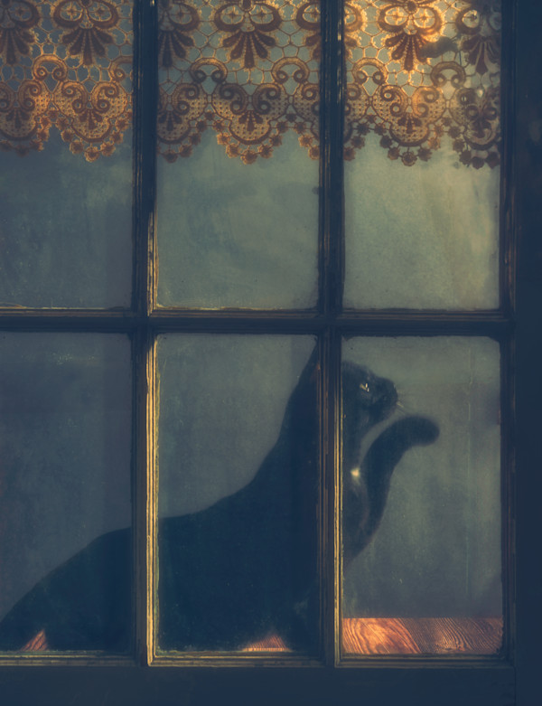 Any Moment 5/250 by Wendy Nelson Photography