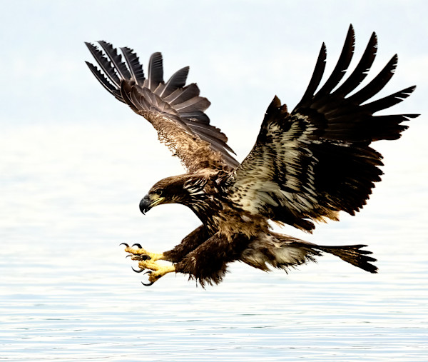 Within Reach 3/250 by Wendy Nelson Photography