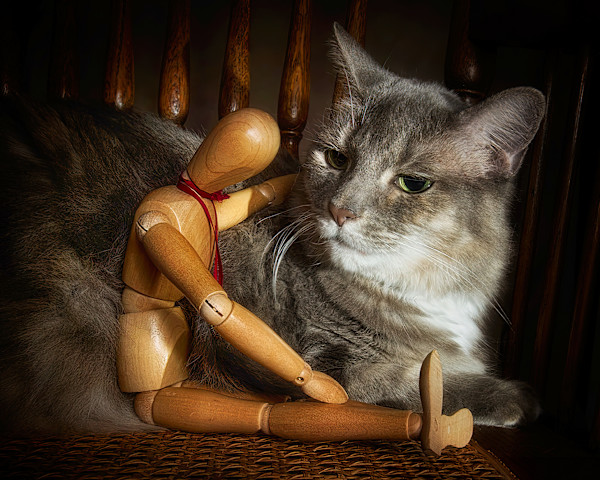 Commiserating Editions 3/250 by Wendy Nelson Photography