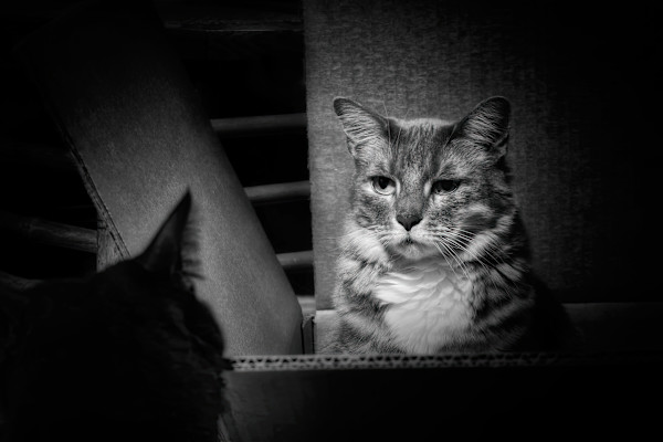 Mine. 5/250 by Wendy Nelson Photography