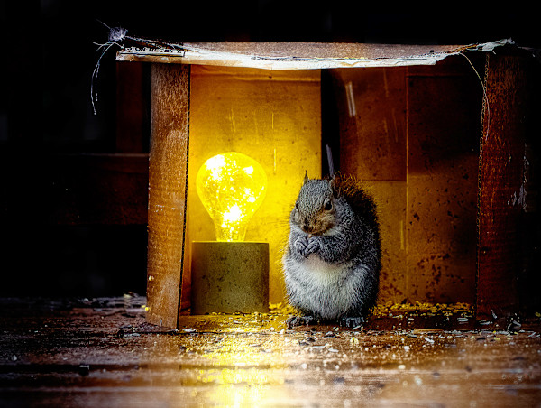 Storm Shelter editions 5/250 by Wendy Nelson Photography