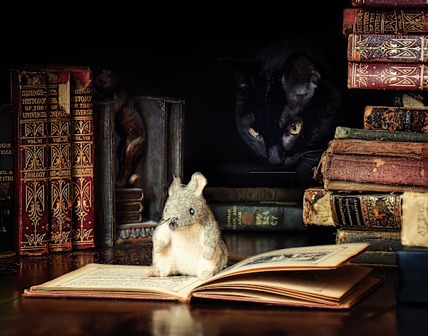 The Scholar Editions 40/250 by Wendy Nelson Photography