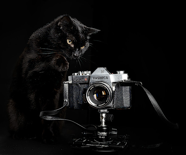 Yashica editions 3/250 by wendy nelson