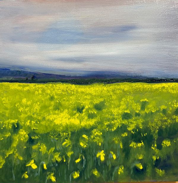 Daffodil Field by Anton Mogilevsky