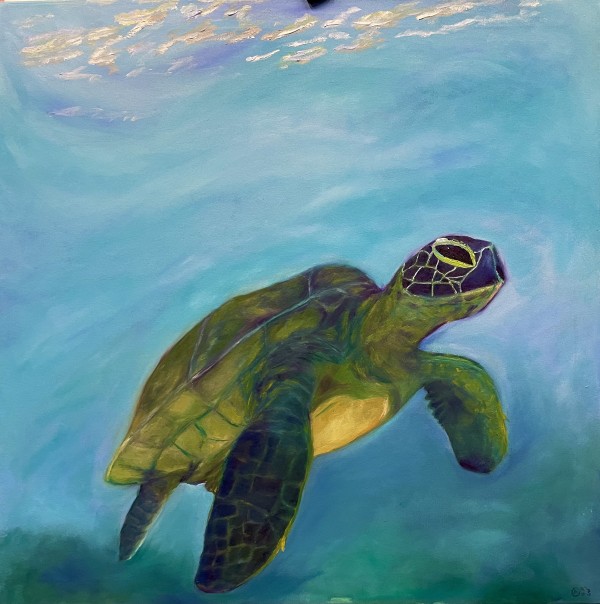 Green Sea Turtle by Anton Mogilevsky