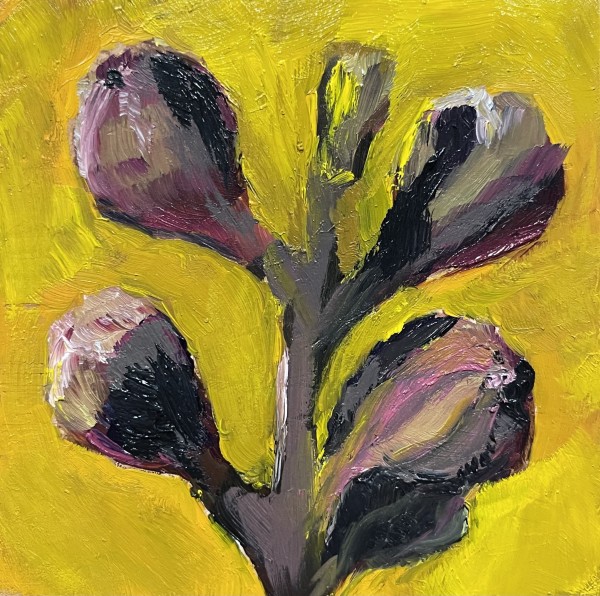 Figs by Anton Mogilevsky