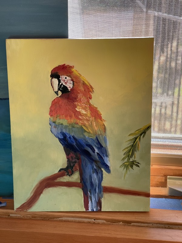 Parrot by Anton Mogilevsky