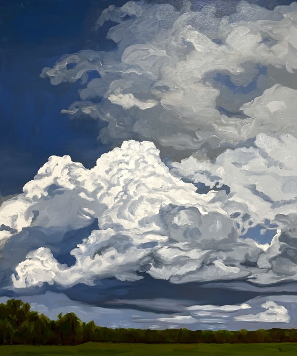 Big Sky by Julia Penny