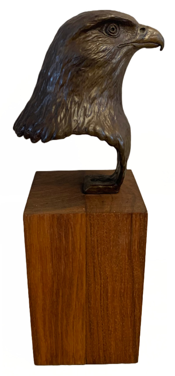 Falcon by Peter Sawatzky