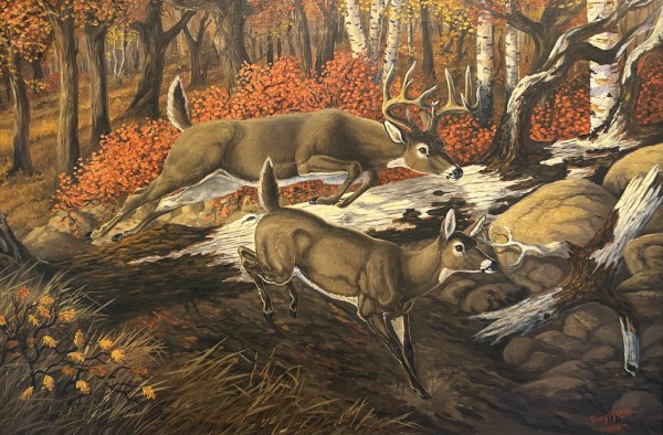 Buck & Doe by Terry Mclean