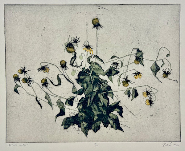 Nature Morte by Kelly Clark (1935-1995)