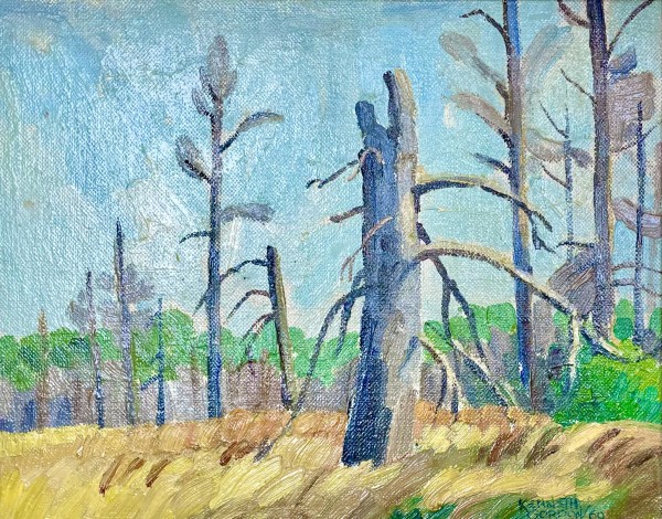 Dead Spruce Near Hecla Island by Kenneth Gordon