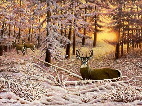 First Snow by Werner Batke