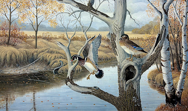 HOME SWEET HOME by Terry Mclean, Image 4.