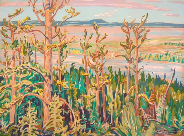 Jack Pine by Alexander Young Jackson