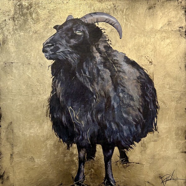 Black Sheep (Icelandic Ram) by Lawren Rich