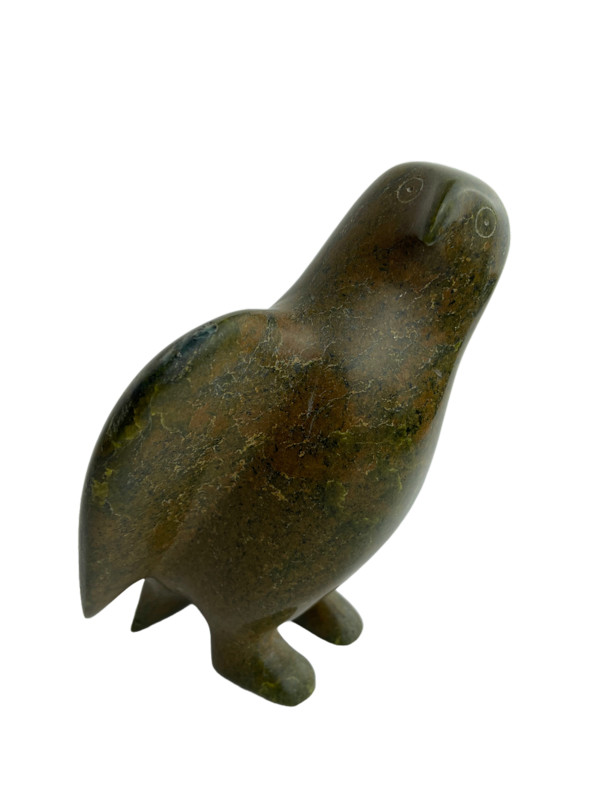 Owl From Inukjuak, Quebec