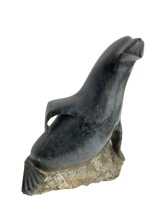 Seal Sitting on Rock