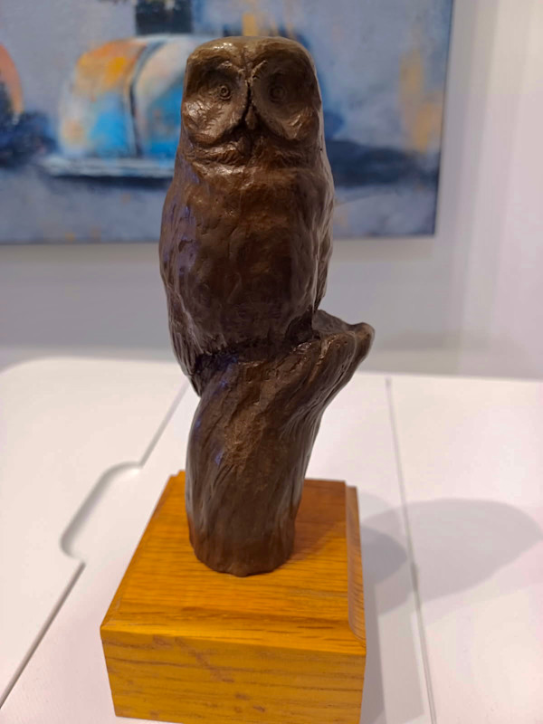 OWL by Peter Sawatzky, Image 1.