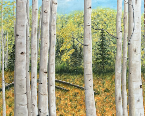 Aspen in the Fall by Connie Sloma Artist
