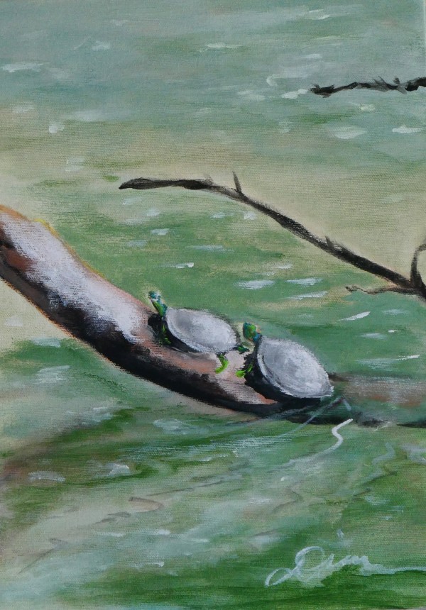 Eno River Turtles by Diane Gore